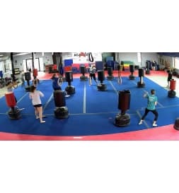 Adults training together in a cardio kickboxing class