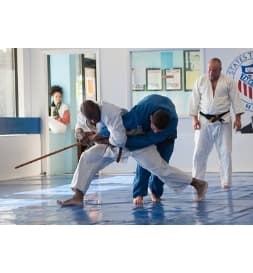 Hapkido students practicing a controlled partner technique