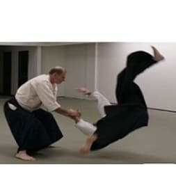 Aikido practitioners demonstrating a defensive technique